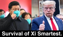 survival of xi smartest Meme Template