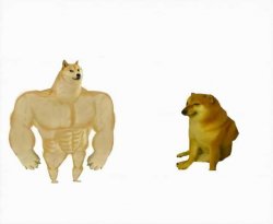 Strong dog vs weak dog Meme Template