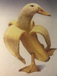banana duck Meme Template