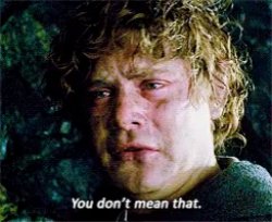 Samwise you don't mean that Meme Template