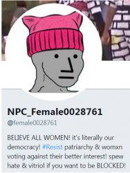 pussy hat Meme Template