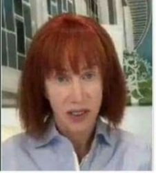 Kathy Griffin Meme Template