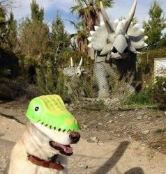 Dog in a dinosaur mask Meme Template