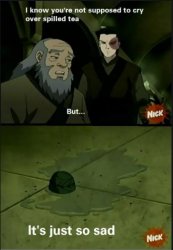 Iroh Spilled Tea Meme Template
