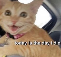 Todays the day Meme Template