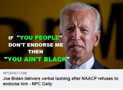 Joe Biden "You People" "Your Ain't Black" Meme Template