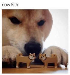 now kith Meme Template