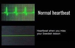 Heartbeat Comparison Meme Template
