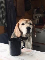 After 3 months of quarantine Meme Template