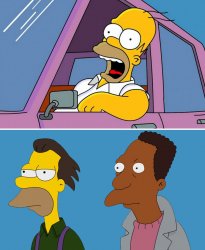 Homer Simpson says stupid things Meme Template