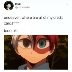 Suspicious Todoroki Meme Template