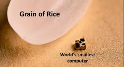 Grain of Rice #2 Meme Template