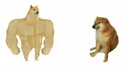 Buff Doge and Crying Cheems Meme Template