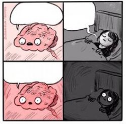 Brain at night be like Meme Template
