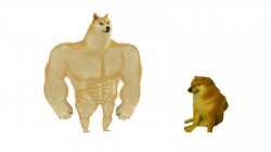 Swole Doge vs Doge Meme Template