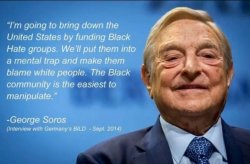Soros explaining his funding black hate groups Meme Template