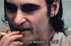 you wouldn't get it Meme Template