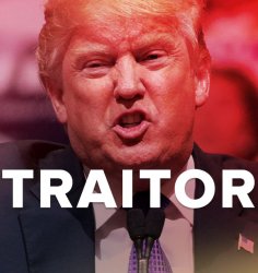 Traitor Trump Meme Template