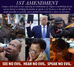 1st amendment see no evil hear no evil speak no evil Meme Template