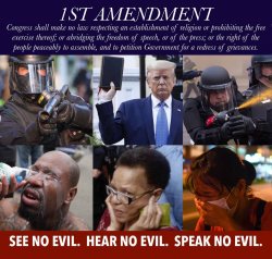 1st amendment see no evil hear no evil speak no evil Meme Template