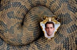 Venomous Meme Template