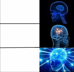 brain x 3 Meme Template
