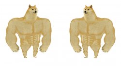 Strong Doge vs Stronge Doge Meme Template