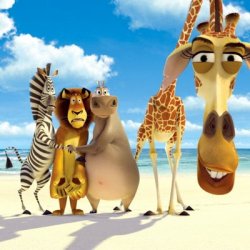 Melman Why Are You Meme Template