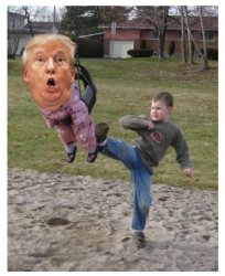 KICK TRUMP OUT and SWING Meme Template