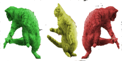 Three Dancing RayCat sticker Meme Template