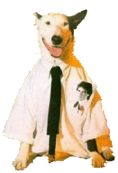 Working Class Dog sticker Meme Template