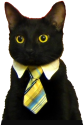 Business Cat sticker Meme Template