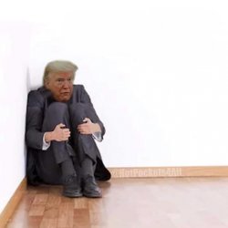 Trump Cower Meme Template