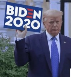 Trump for Biden 2020 Meme Template