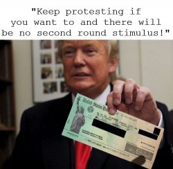 Trump Keep Protesting No Stimulus Meme Template
