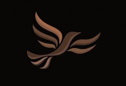The Lib Dem’s Meme Template
