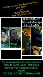 Jillian Quist Jones Bridges Inc. Meth Counselor Meme Template