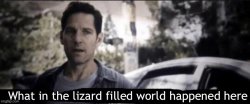 What in the lizard filled world happened here Meme Template