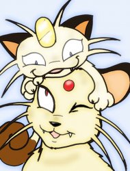 Meowth and Persian! Meme Template