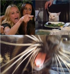 Lady yelling at cat Meme Template