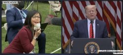 Weijia Jiang vs. Donald Trump Meme Template