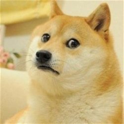 Frowning doge Meme Template
