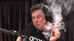 Elon Musk Smokes Meme Template