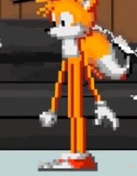 Totally Accurate Tails Meme Template
