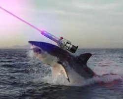 Laser beam shark Meme Template