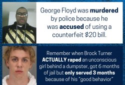 Brock Turner vs. George Floyd comparison Meme Template