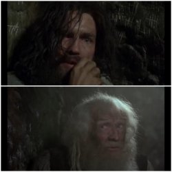 But have you named them Meme Template