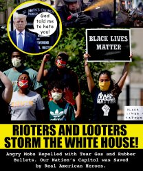 rioters and looters storm the white house Meme Template