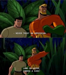 Aquaman never trust an amphibian Meme Template