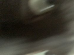 Phone cat Meme Template